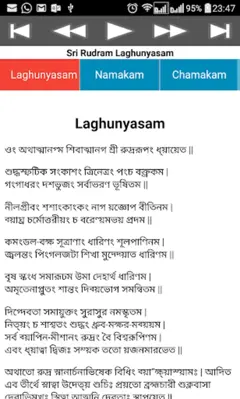 Rudram Namakam Chamakam android App screenshot 3