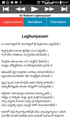 Rudram Namakam Chamakam android App screenshot 8